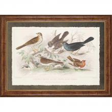 Paragon Art 7716 - Birds I