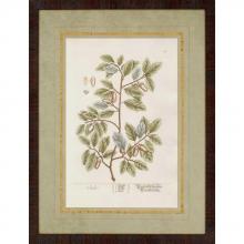 Paragon Art 7718 - Vintage Foliage I