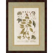 Paragon Art 7719 - Vintage Foliage II