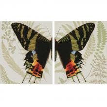 Paragon Art 9016 - Butterfly Symmetry Pk/2