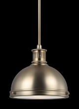 Generation Lighting 65085EN3-848 - One Light Pendant