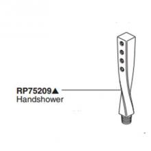 Brizo RP75209PN - Virage: Handshower