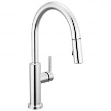 Delta Faucet 19867LF - Nicoli™ Single Handle Pull-Down Kitchen Faucet