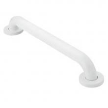 Moen R8742W - Glacier 42'' Concealed Screw Grab Bar