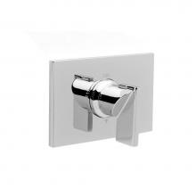 Newport Brass 3-2544TS/65 - Rectangular Thermostatic Trim Plate with Handle