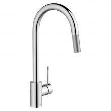 DXV D35404300.100 - Etre™ Single Handle Pull-Down Kitchen Faucet with Lever Handle