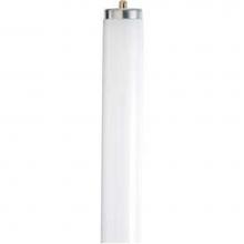 Satco S6662 - 52 Watt; T12; Fluorescent; 4200K Cool White; 62 CRI; Single Pin base