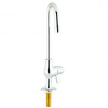 T&S Brass 5F-1SLX03 - Faucet, Single Temp Inlet, 3'' Rigid Gooseneck