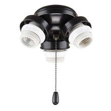 Kathy Ireland Home by Luminance Brands F330BQ - F330BQ - 3-LIGHT TURTLE FITTER IN BARBEQUE BLACK