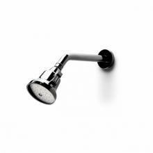 Waterworks 05-69583-61531 - Boulevard 3 1/2'' Shower Head, Arm and