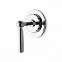 Waterworks 05-93543-24598 - Ludlow Two Way Diverter Valve Trim for Thermostatic with Graphics and Metal Lever Handle in