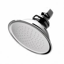 Waterworks 05-71620-51668 - Universal 5 Shower Head with Fixed Spray in Unlacquered Brass, 2.5gpm