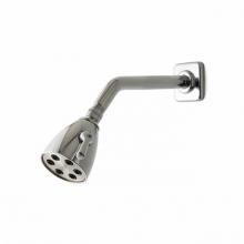 Waterworks 05-77663-38902 - Ludlow 2 3/4'' Shower Head, Arm and Flange in