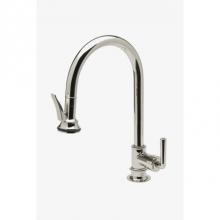 Waterworks 07-01074-05406 - Henry Gooseneck Kitchen Faucet with Pull-Down Spray and Metal Lever Handle and in Antique Brass, 1