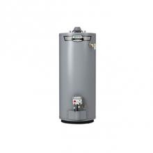 AO Smith 100323948 - ProLine 30-Gallon Atmospheric Vent Short Liquid Propane Gas Water Heater