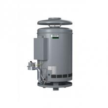 AO Smith 100123201 - Conservationist Circulating Commercial Propane Gas Water Heater