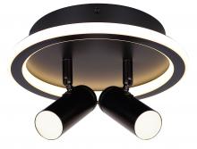 Canarm LCW314A02BK - DENVER, LCW314A02BK, 2 Lt LED Ceiling or Wall, Silicone Lens + Acrylic, 17W LED (Integrated)