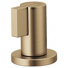 Brizo Canada HL5332-GL-NM - Ws Lever Handle Kit