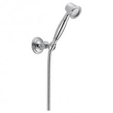 Brizo Canada RP41202 - B-Vesi Customer Shower Hanbhower