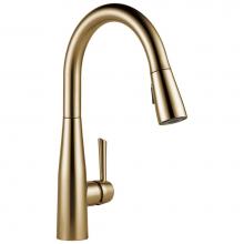 Delta Canada 9113-CZ-DST - Essa® Single Handle Pull-Down Kitchen Faucet