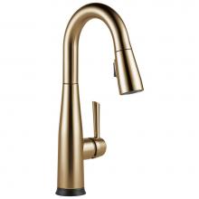 Delta Canada 9913T-CZ-DST - Essa® Single Handle Pull-Down Bar/Prep Faucet with Touch2O® Technology