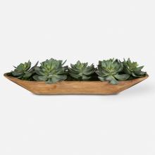 Uttermost 60205 - Uttermost Yuma Succulent Centerpiece