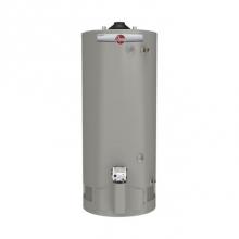 Rheem 701433 - Professional Classic Heavy Duty Ultra Low NOx