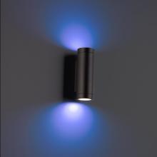 WAC Integrator Tier 1 3911-CSBK - Smart Color Changing LED Landscape Wall Mount Cylinder