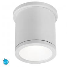 WAC Integrator Tier 1 FM-W2605-WT - TUBE Outdoor Flush Mount Light