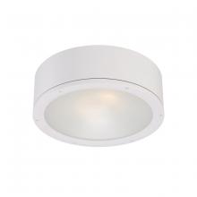 WAC Integrator Tier 1 FM-W2612-WT - TUBE Outdoor Flush Mount Light