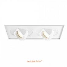 WAC Integrator Tier 1 MT-5LD225TL-S30-WT - Tesla LED Multiple Two Light Invisible Trim with Light Engine