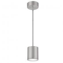 WAC Integrator Tier 1 PD-W2605-AL - TUBE Outdoor Pendant Light