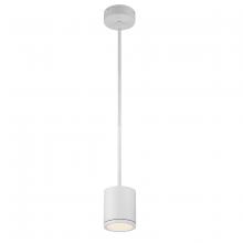 WAC Integrator Tier 1 PD-W2605-WT - TUBE Outdoor Pendant Light