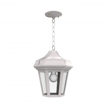 SNOC 24850-CH03 - Oxford - Ceiling mount with chain open bottom medium format - 24850